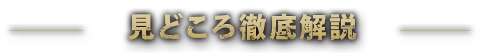 見どころ徹底解説