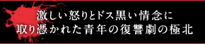 激しい怒りとドス黒い情念に取り憑かれた青年の復讐劇の極北