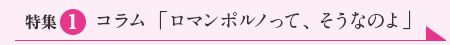 特集１「ロマンポルノって、そうなのよ」