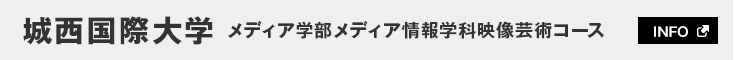 城西国際大学