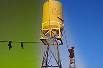 「バグダッド・カフェ　ニュー・ディレクターズ・カット版」