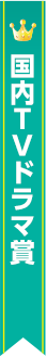 国内TVドラマ賞