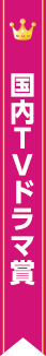 国内TVドラマ賞